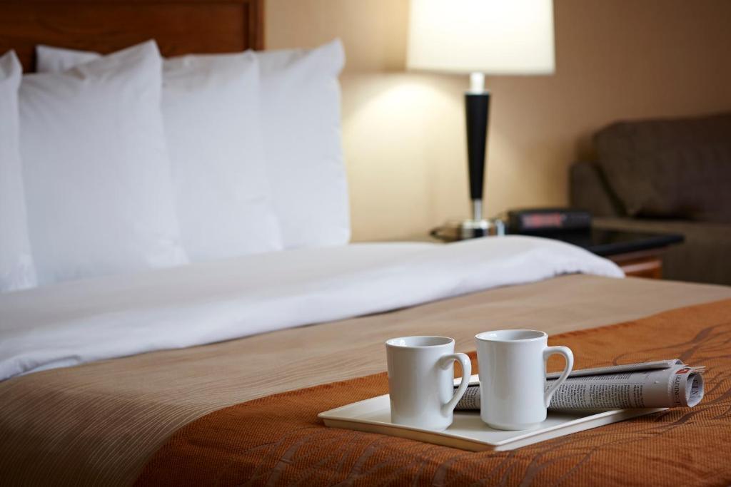 Quality Inn North Bay Quarto foto